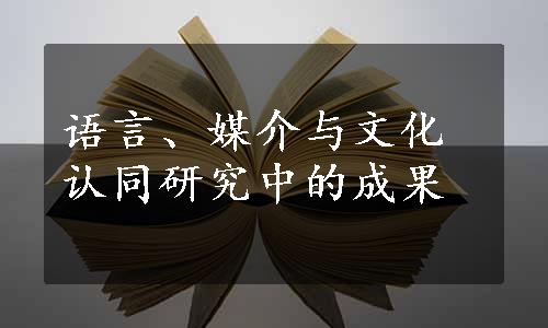 语言、媒介与文化认同研究中的成果