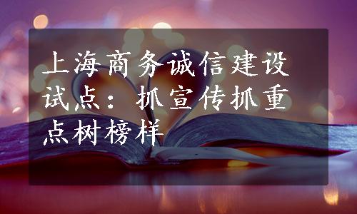 上海商务诚信建设试点：抓宣传抓重点树榜样