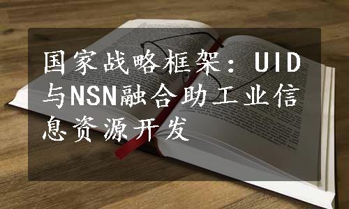 国家战略框架：UID与NSN融合助工业信息资源开发