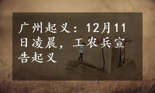 广州起义：12月11日凌晨，工农兵宣告起义