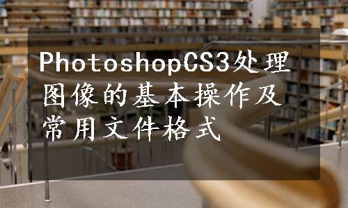 PhotoshopCS3处理图像的基本操作及常用文件格式