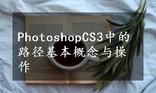 PhotoshopCS3中的路径基本概念与操作