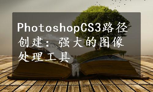 PhotoshopCS3路径创建：强大的图像处理工具