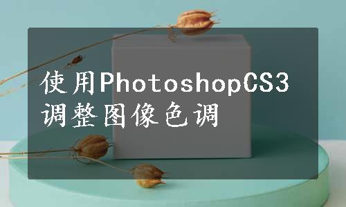 使用PhotoshopCS3调整图像色调