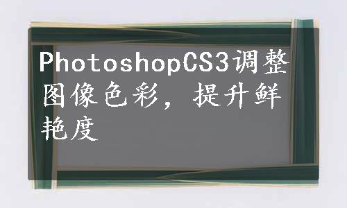 PhotoshopCS3调整图像色彩，提升鲜艳度