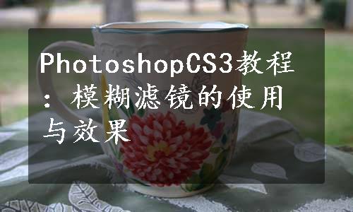 PhotoshopCS3教程：模糊滤镜的使用与效果