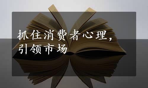 抓住消费者心理，引领市场