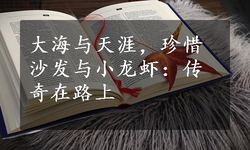 大海与天涯，珍惜沙发与小龙虾：传奇在路上