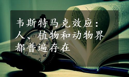 韦斯特马克效应：人、植物和动物界都普遍存在