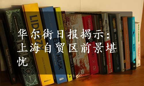 华尔街日报揭示：上海自贸区前景堪忧