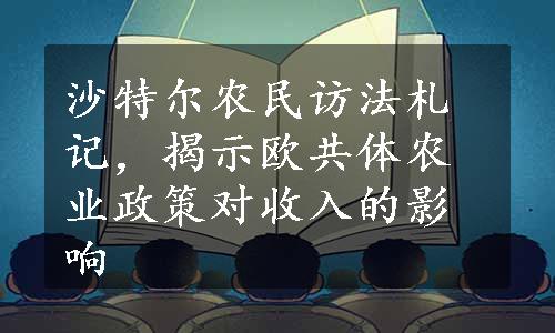 沙特尔农民访法札记，揭示欧共体农业政策对收入的影响