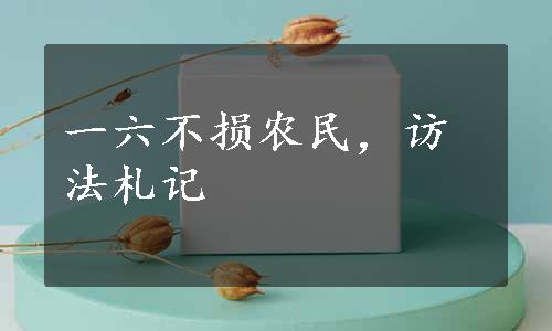 一六不损农民，访法札记