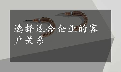 选择适合企业的客户关系