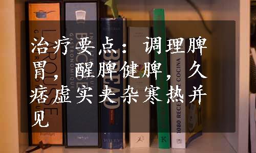 治疗要点：调理脾胃，醒脾健脾，久痞虚实夹杂寒热并见