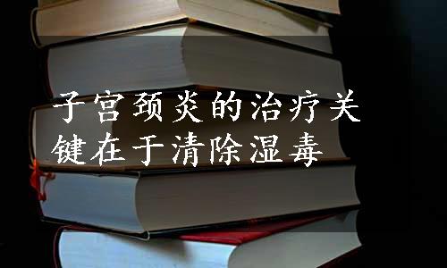 子宫颈炎的治疗关键在于清除湿毒