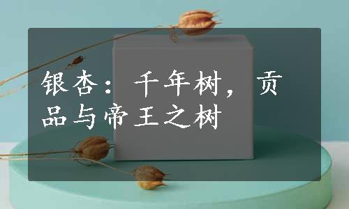 银杏：千年树，贡品与帝王之树