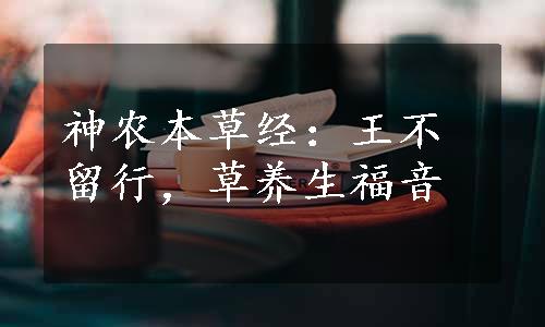 神农本草经：王不留行，草养生福音