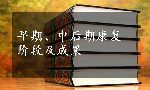 早期、中后期康复阶段及成果