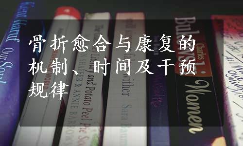 骨折愈合与康复的机制、时间及干预规律