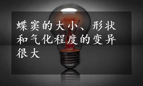 蝶窦的大小、形状和气化程度的变异很大